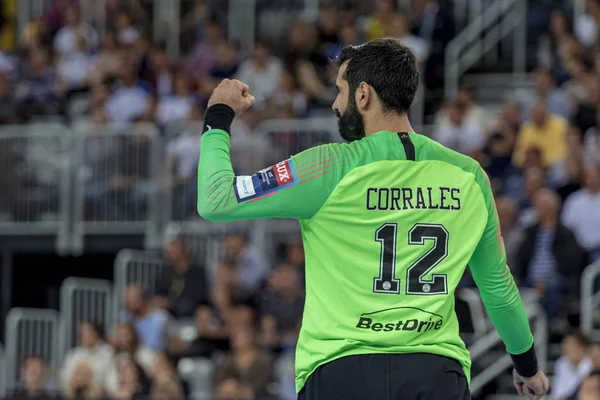 Zagreb, Hırvatistan - 29 Eylül 2018: Ehf man 's Championship League. PD Zagreb, Paris Saint-Germain 'e karşı. Rodal Rodrigo harekete geçti (12))