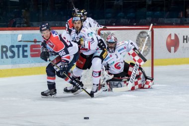 Zagreb, Hırvatistan - 31 Ekim 2017: Medvescak Zagreb ile Orli Znojmo arasında Ebel buz hokeyi ligi maçı. Tyler Morley (86) ve Jakub Stehlik (31) diski almak için hızlı kayıyorlar 