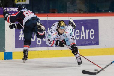 Zagreb, Hırvatistan - 31 Ekim 2017: Medvescak Zagreb ile Orli Znojmo arasında Ebel buz hokeyi ligi maçı. Adam Raska (66) düşüyor ve hala top sürüyor 