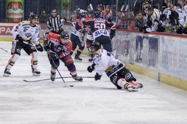 Zagreb, Hırvatistan - 21 Aralık 2017: Medvescak Zagreb ile Dornbirn arasında Ebel buz hokeyi ligi maçı. Tyler Morley (86))