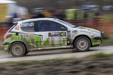 Sveta Nedelja, Hırvatistan - 26 Kasım 2017: 8. Gyorgy Szabo - Alexandra Miklos / Peugeot 206 Rc / Pro Spor