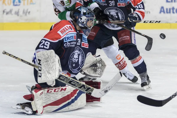 Ζάγκρεμπ Κροατία Δεκεμβρίου 2017 Ebel Ice Hockey League Match Medvescak — Φωτογραφία Αρχείου