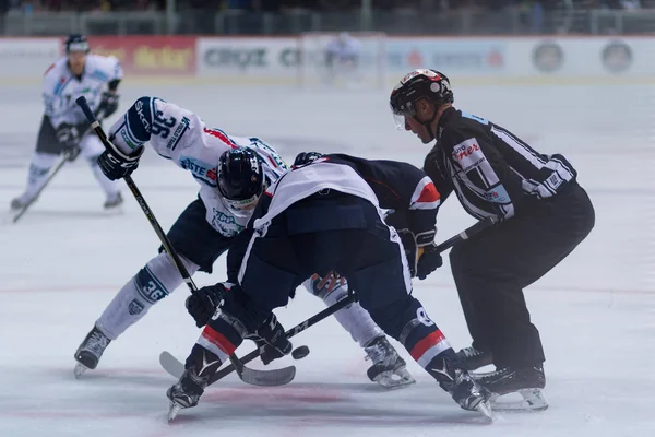 Zagreb Croacia Septiembre 2017 Ebel Partido Liga Hockey Sobre Hielo —  Fotos de Stock