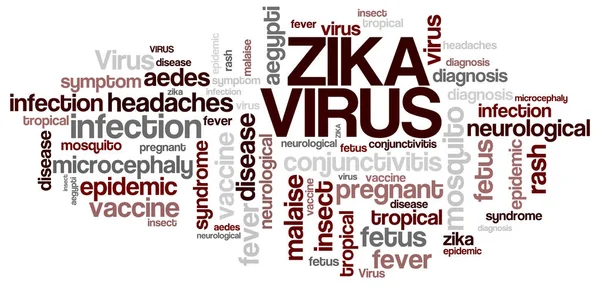 Nube de palabras del virus Zika — Foto de Stock