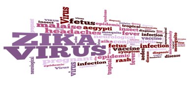 Zika virus word cloud. Zika typography background. 