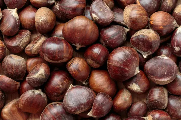 Pilha Castanhas Semente Comestível — Fotografia de Stock