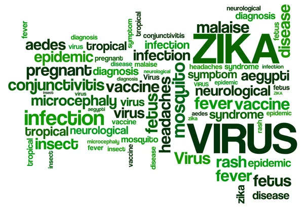 Nube Palabras Del Virus Zika Fondo Tipográfico Del Zika — Foto de Stock