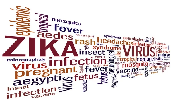 Nube Palabras Del Virus Zika Fondo Tipográfico Del Zika — Foto de Stock