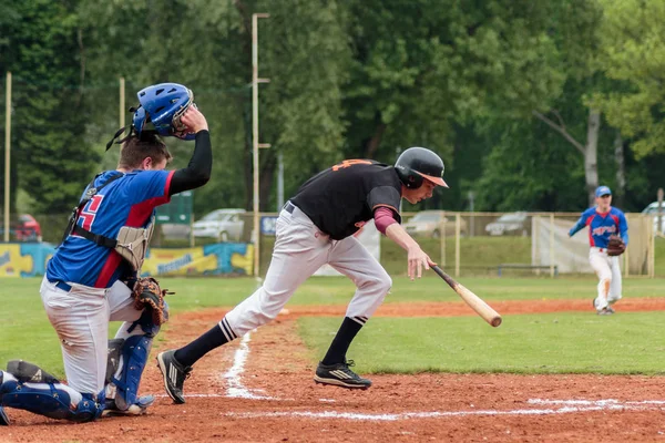 Zagreb Croacia Abril 2016 Partido Béisbol Entre Baseball Club Zagreb —  Fotos de Stock