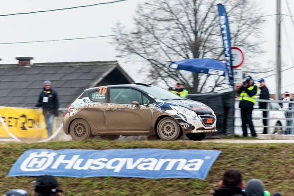 Sveta Nedelja Hırvatistan Kasım 2016 Ralli Gösterisi Santa Domenica Peugeot — Stok fotoğraf