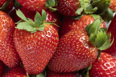 Kırmızı çilek yığını arka plan kadar yakın