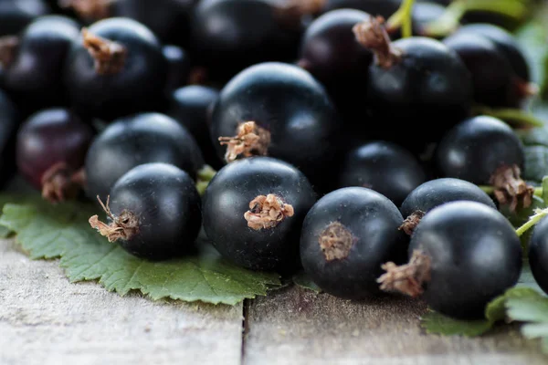 Gooseberries Hybrid yakın çekim