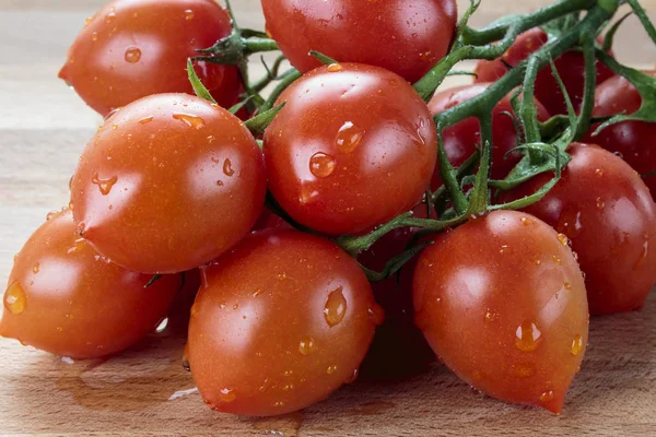 Tomates Prunes Humides Sur Branche Fermer — Photo