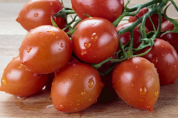 Pomodori Prugna Umidi Ramo Vicino — Foto Stock