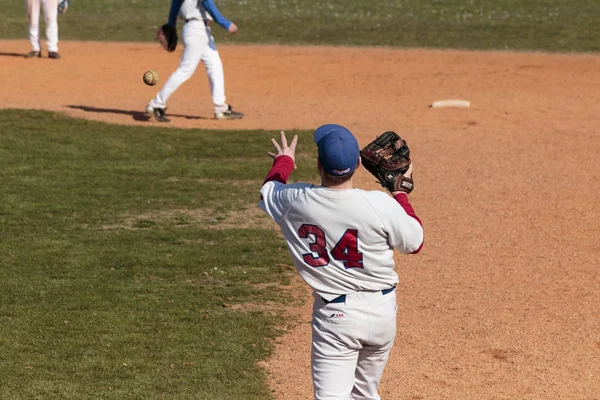 Zagreb Kroatië Maart 2015 Honkbalwedstrijd Baseball Club Zagreb Blauwe Trui — Stockfoto