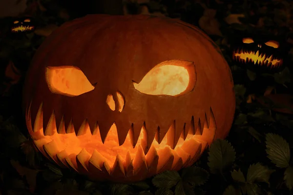 Scary Halloween Pumpor Glödande Ansikten Trick Treat — Stockfoto