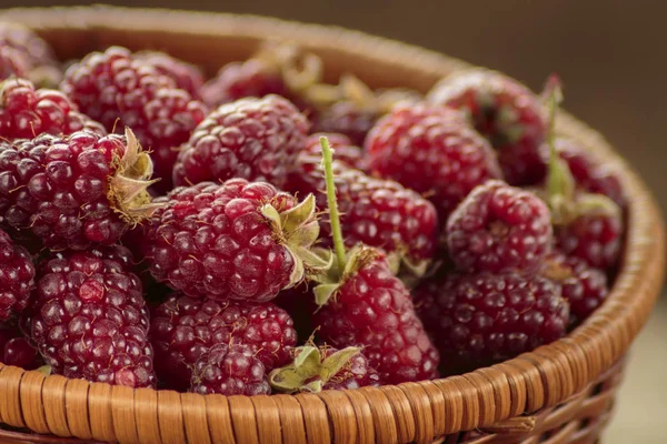 Tayberry Hybrid Raspberries Blackberries Wicker Basket — Stock Photo, Image