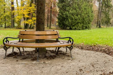 Sonbahar Maksimir parkta, ağaç etrafında tezgah