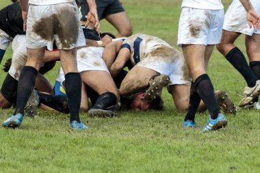 Zagreb, Hırvatistan-13 Eylül 2014: Rugby maç Rugby Club Zagreb beyaz jarse ve rugby Club Sinj siyah jarse içinde. Tanımlanamayan oyuncu birbirleriyle mücadele ediyorlar.