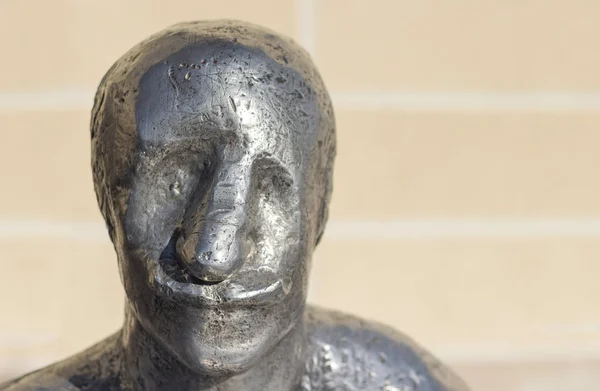 Metalowa Głowa Posągu Blured Tle — Zdjęcie stockowe