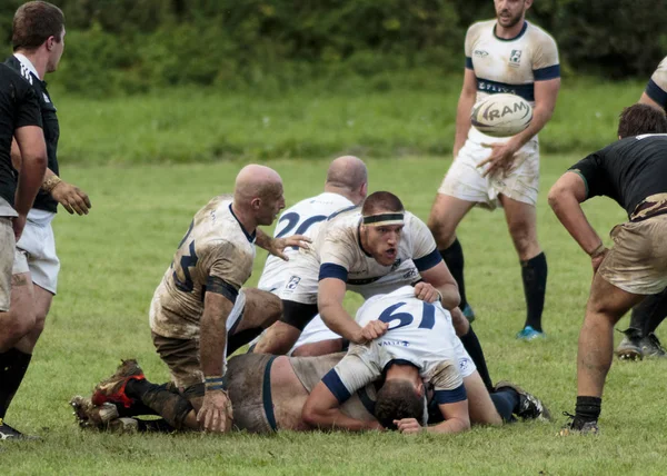 Zagreb Croatia Setembro 2014 Rugby Match Rugby Club Zagreb Camisa — Fotografia de Stock