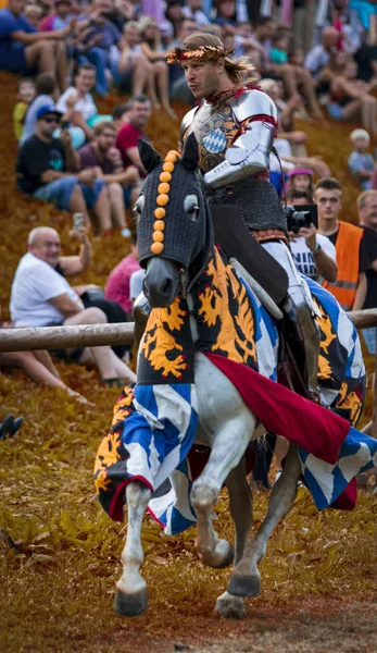 Koprivnica, Hırvatistan - 23 Ağustos 2019: Koprivnica, Hırvatistan'da Rönesans festivali. Avrupa'nın en büyük rönesans festivallerinden biri. Medival Knight atına biniyor 