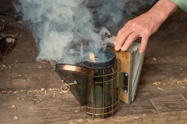 Osoby určené k fumigaci včelovitých s kouřovým zařízením. — Stock fotografie