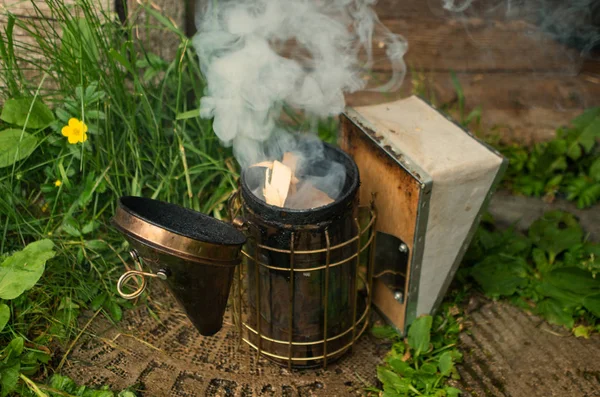 Osoby určené k fumigaci včelovitých s kouřovým zařízením. — Stock fotografie