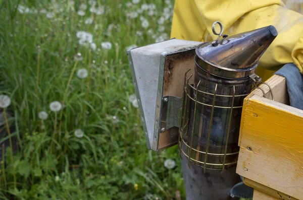 Een man trekt uit de Hive frame met honing en bijen. — Stockfoto