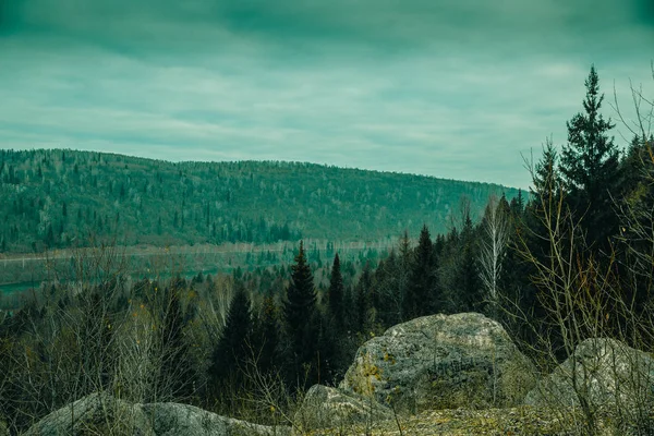 Dağ kayalıklarında kayalar