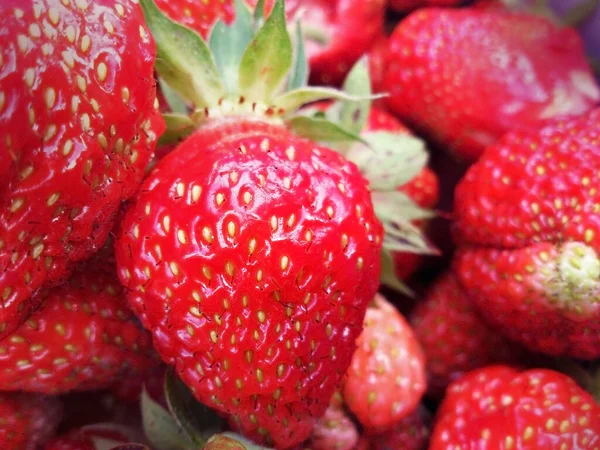 Nahaufnahme Einer Großen Anzahl Von Erdbeeren Natürlicher Hintergrund Nahaufnahme Von — Stockfoto