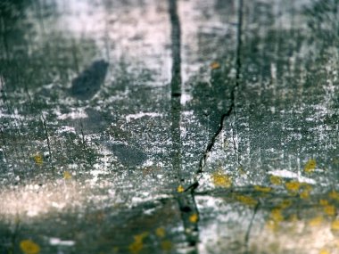 Yakın plan fotoğrafında kırık yosun olan eski tahta