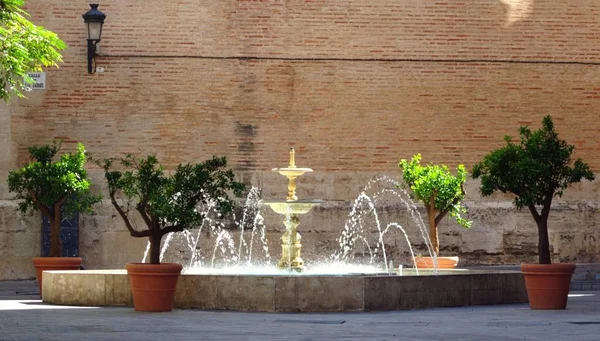 Cute Fountain Valencia Spain — Stock Photo, Image