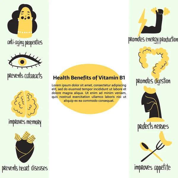 Avantages de la vitamine B1 thiamine dessinée à la main : protège les nerfs et la digestion, prévient les cataractes, améliore l'appétit et la mémoire. Dessin vectoriel pour brochure pharmaceutique ou médicale, complément alimentaire . — Image vectorielle