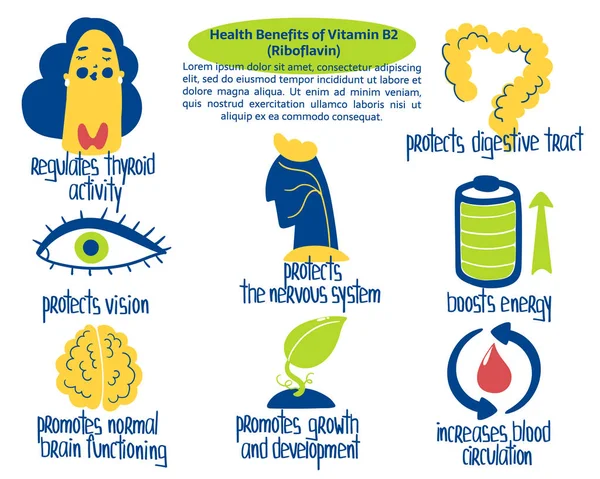 Avantages de la riboflavine B2 dessinée à la main : stimule l'énergie, protège la vision, le tube digestif, la circulation sanguine. Illustration vectorielle pour affiche pharmaceutique ou médicale, brochure, complément alimentaire . — Image vectorielle