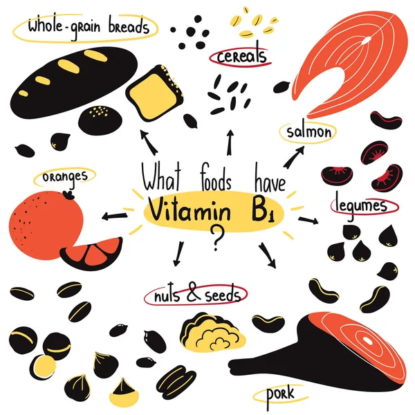 B1 πηγές τροφίμων — Διανυσματικό Αρχείο
