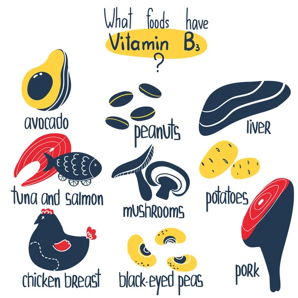 Vitamon B3 πηγές τροφίμων — Διανυσματικό Αρχείο
