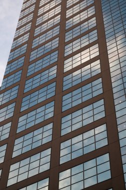 Grid pattern of reflective glass windows on contemporary building.