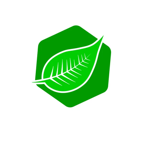 葉のロゴ グラフィックデザインテンプレート エコシンボル アプリアイコン ベクトルイラスト — ストックベクタ