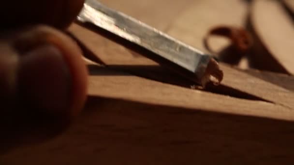 Wood Carving Chisel Close — Stock Video