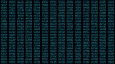 Dijital Arka Plan. Hacker. Kod. Hud