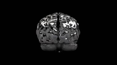 Çelik beyin. Demir Beyin