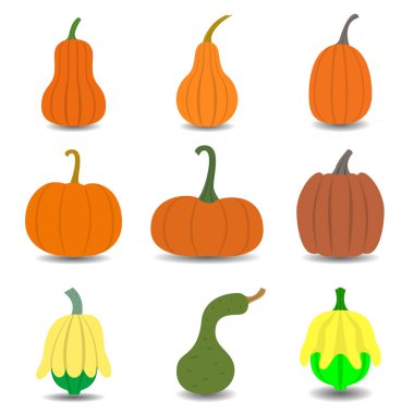 Düz dizayn balkabağı seti