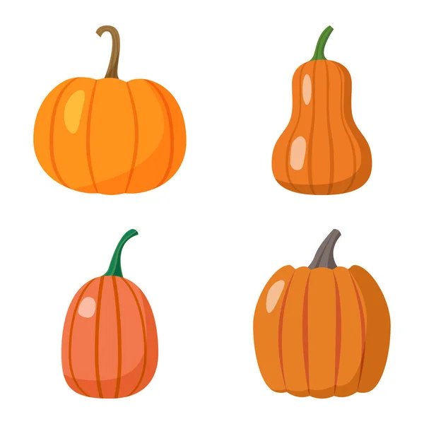 Conjunto de calabazas aisladas sobre fondo blanco — Vector de stock