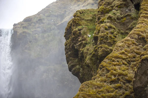 Nationalpark Island Eine Wunderbare Aussicht Auf Die Landschaft Island Geothermales — Stockfoto