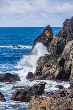 Milli Parkı İzlanda. Muhteşem manzara manzara İzlanda, jeotermal alan. Dramatik ve güzel sahne                 