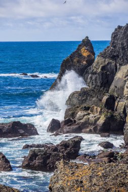 Milli Parkı İzlanda. Muhteşem manzara manzara İzlanda, jeotermal alan. Dramatik ve güzel sahne                 