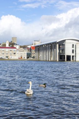 Milli Parkı İzlanda. Muhteşem manzara manzara İzlanda, jeotermal alan. Dramatik ve güzel sahne                 