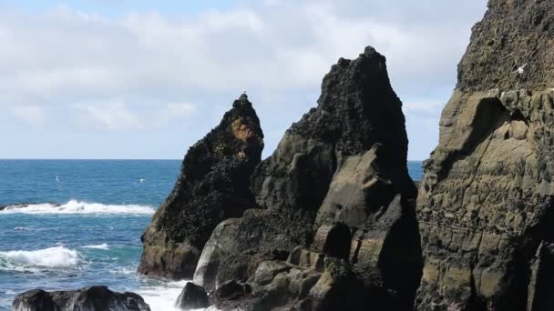 Nationalparken Island Ett Fantastiskt Landskap Visa Island Geotermiska Området Dramatiska — Stockvideo