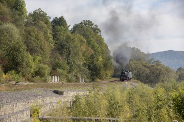 buhar motoru tren Ukrayna